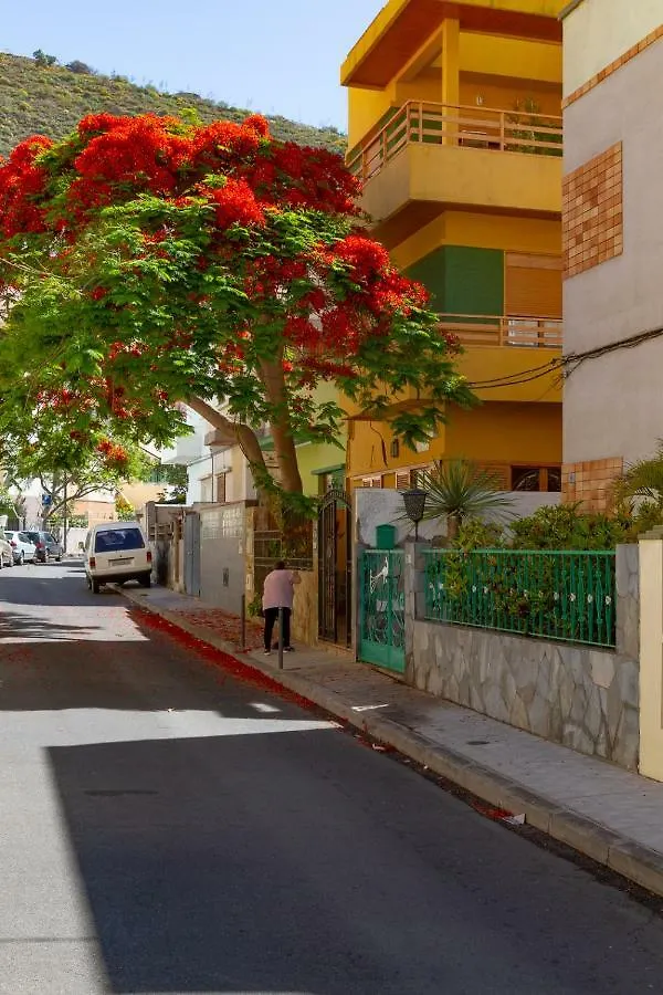 Alojamento de Acomodação e Pequeno-almoço Casa Dona Carmela Guesthouse - Adults Only Santa Cruz de Tenerife